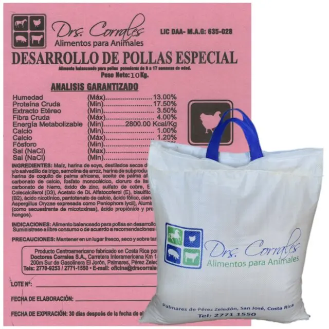 Desarrollo de Pollas 10Kg
