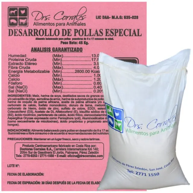 Desarrollo de Pollas 46Kg