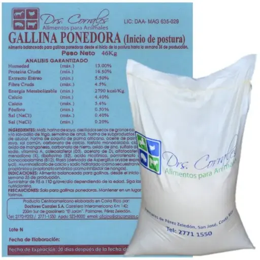 Gallina Ponedora Inicio 46Kg