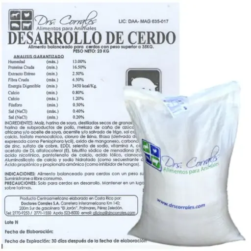Desarrollo de Cerdo 23Kg