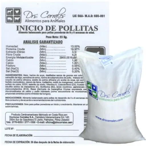Inicio de Pollitas 23Kg