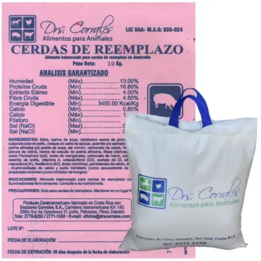 Cerdas de Reemplazo 10Kg