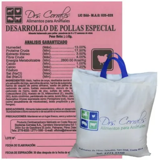 Desarrollo de Pollas 10Kg