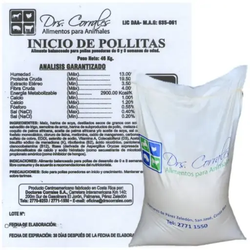 Inicio de Pollitas 46Kg