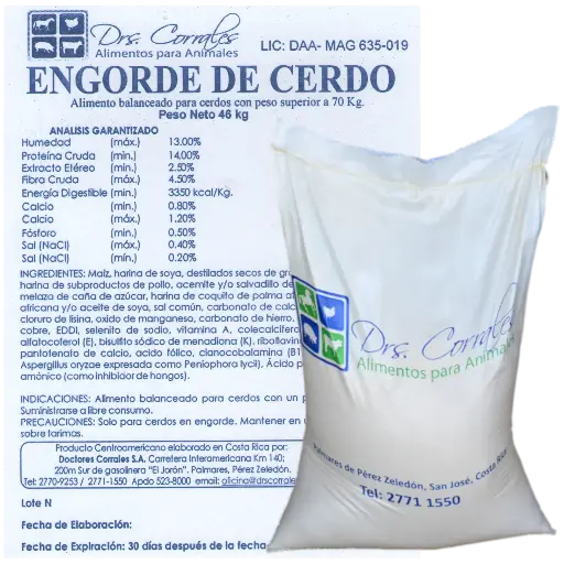 Engorde de Cerdo 46Kg