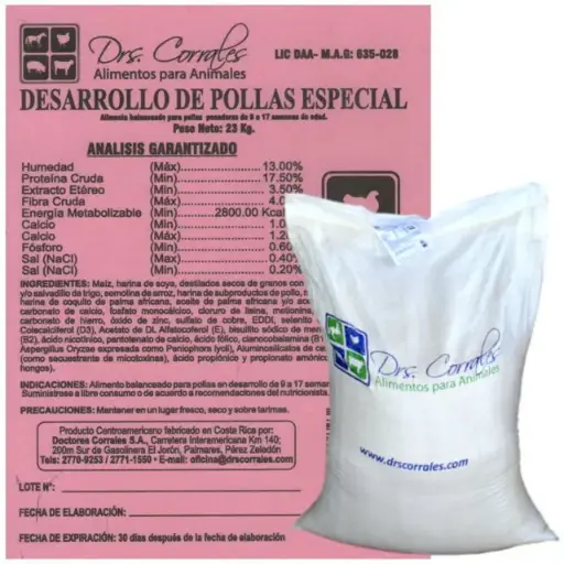 Desarrollo de Pollas 23Kg