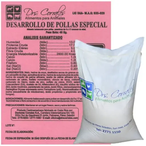 Desarrollo de Pollas 46Kg