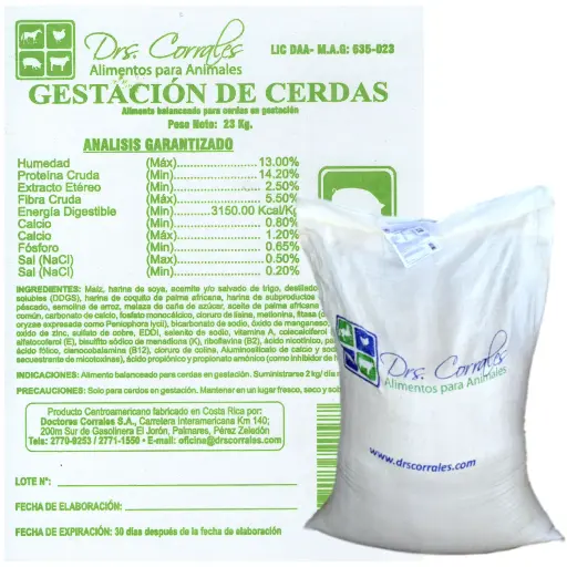 Gestación de Cerdas 23Kg